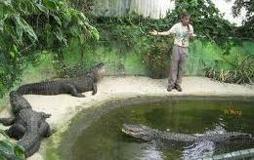 Crocodile Park - You get to hold a crocodile!