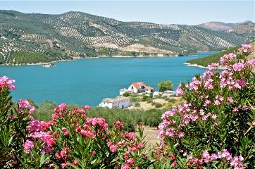 30 Kilometres of Iznajar Lake : A Virtual Sea